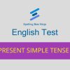 Present Simple Tense