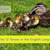 The 12 Tenses in the English Language