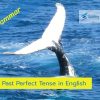 The Past Perfect Tense in English