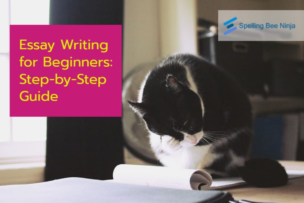 Essay Writing for Beginners A Step-by-Step Guide