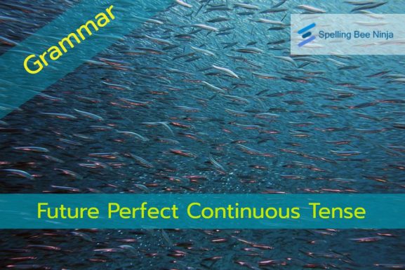 Future Perfect Continuous Tense