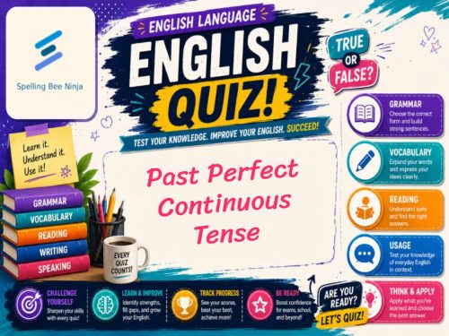 Past Perfect Continuous Tense