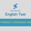 Past Perfect Continuous Tense