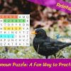 Pronoun Puzzle: A Fun Way to Practice