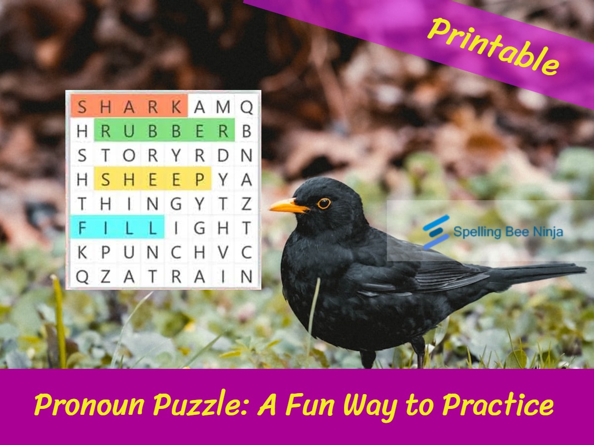 Pronoun Puzzle: A Fun Way to Practice