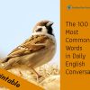 The 100 Most Common Words in Daily English Conversation