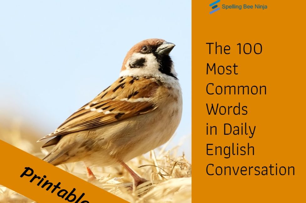 The 100 Most Common Words in Daily English Conversation
