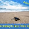 Understanding the Future Perfect Tense