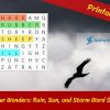 Weather Wonders: Rain, Sun, and Storm Word Search