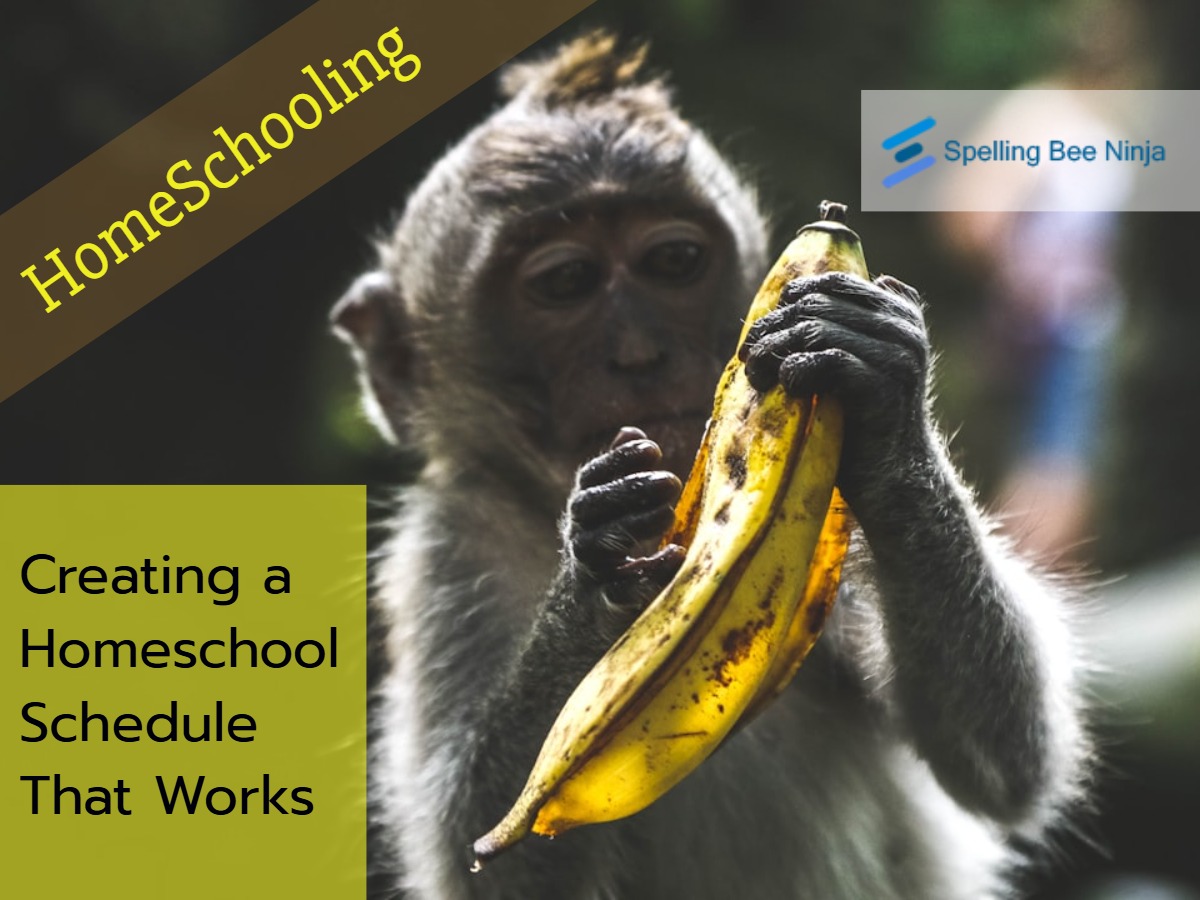 Creating a Homeschool Schedule That Works