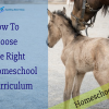 How To Choose The Right Homeschool Curriculum