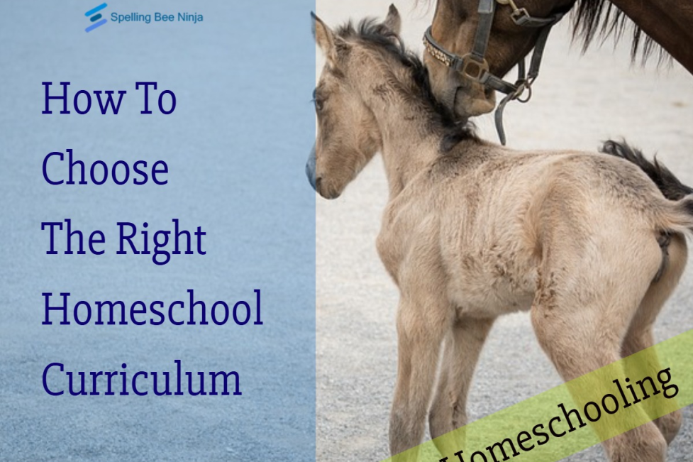 How To Choose The Right Homeschool Curriculum