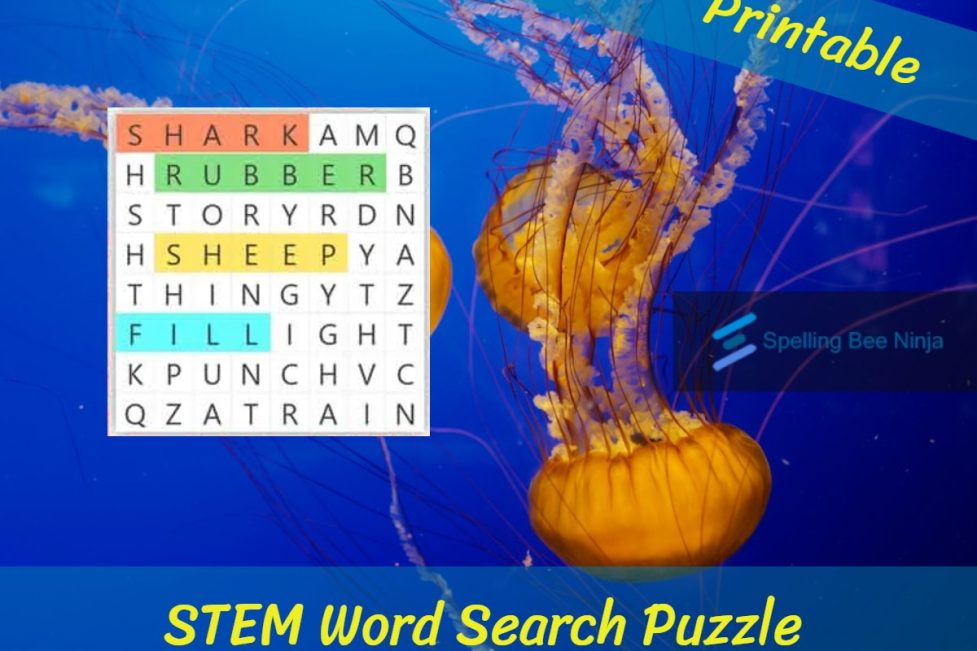 STEM Word Search Puzzle