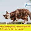 Daily Spelling Bee Practice Routine: 20 Minutes a Day to Mastery