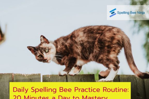 Daily Spelling Bee Practice Routine: 20 Minutes a Day to Mastery