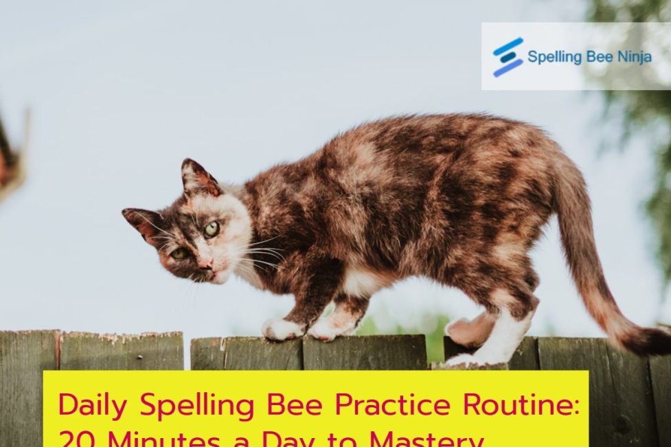 Daily Spelling Bee Practice Routine: 20 Minutes a Day to Mastery
