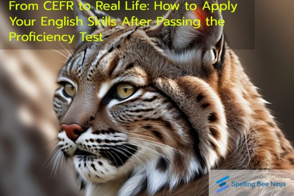 From CEFR to Real Life: How to Apply Your English Skills After Passing the Proficiency Test