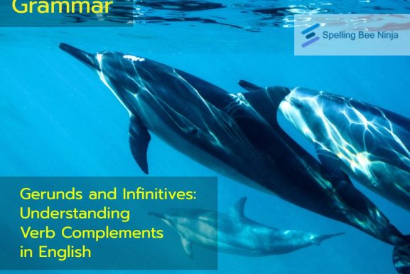 Gerunds and Infinitives: Understanding Verb Complements in English