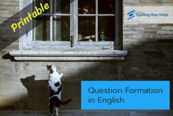 Question Formation in English