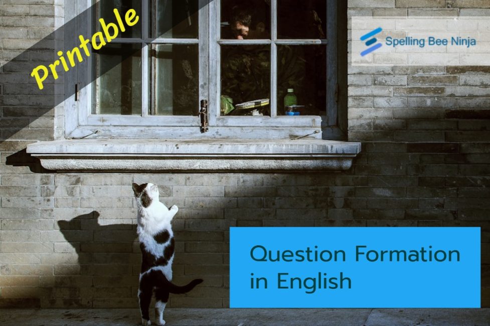 Question Formation in English