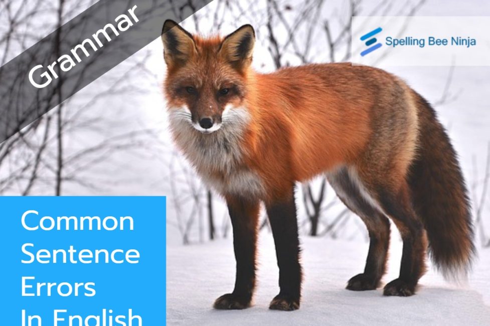 Common Sentence Errors