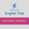 english-test-common-sentence-errors