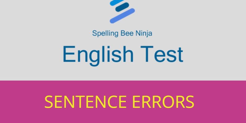 english-test-common-sentence-errors