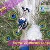Formal vs. Informal Language