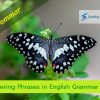 Mastering Phrases in English Grammar