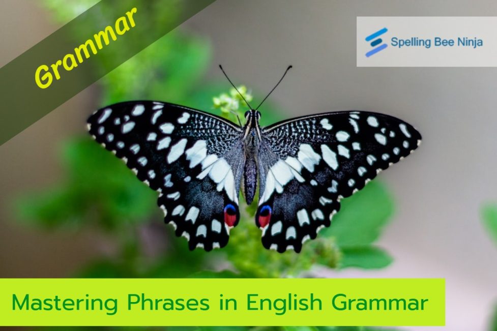 Mastering Phrases in English Grammar