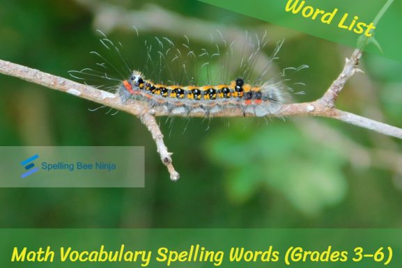 Math Vocabulary Spelling Words (Grades 3–6)
