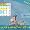 Punctuation Word Search Puzzle