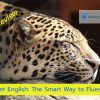 Rocket English: The Smart Way to Fluency