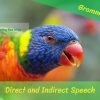 Say What?! A Fun Guide to Direct and Indirect Speech
