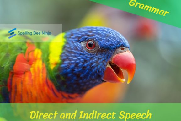 Say What?! A Fun Guide to Direct and Indirect Speech