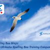 Spelling Bee Ninja: Your Ultimate Spelling Bee Training Companion