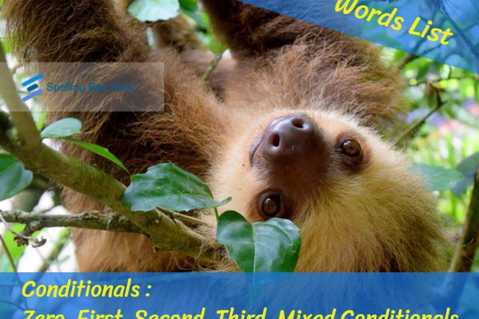 Conditionals Zero, First, Second, Third, Mixed Conditionals