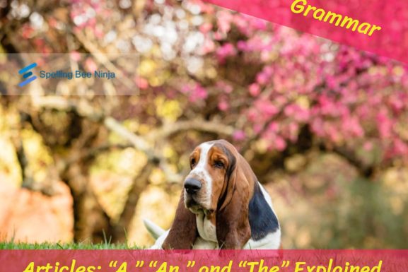 Mastering Articles: “A,” “An,” and “The” Explained