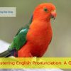 Mastering English Pronunciation