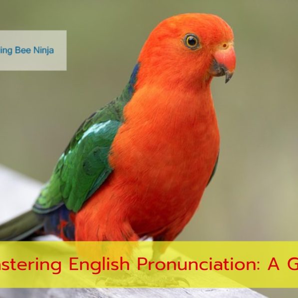 HIGEST VS HIGHEST MASTERING THE CORRECT SPELLING visual data 7