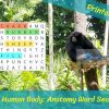 The Human Body: Anatomy Word Search