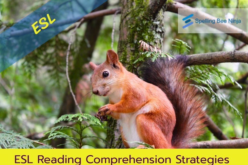 ESL Reading Comprehension Strategies