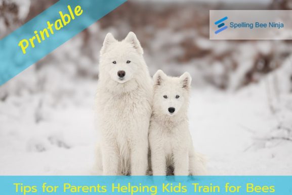 Tips for Parents Helping Kids Train for Bees
