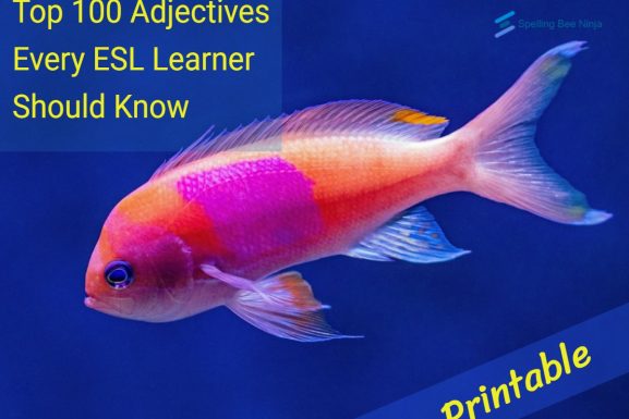 Top 100 Adjectives Every ESL Learner Should Know