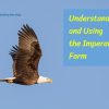 Understanding and Using the Imperative Form