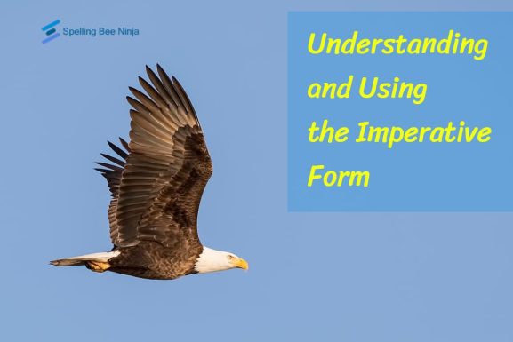 Understanding and Using the Imperative Form