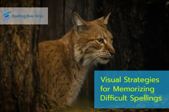 Visual Strategies for Memorizing Difficult Spellings