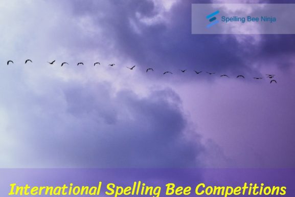 International Spelling Bee Competitions
