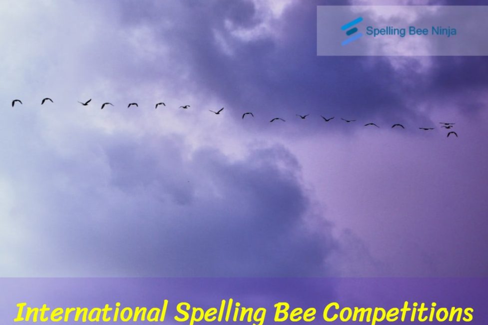 International Spelling Bee Competitions