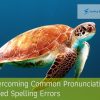 Overcoming Common Pronunciation-Based Spelling Errors